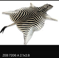 A Grade Zebra Hide 7206