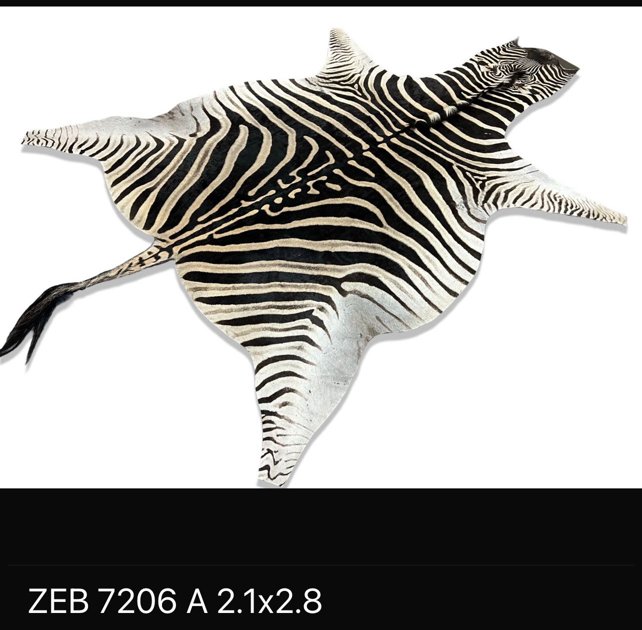A Grade Zebra Hide 7206