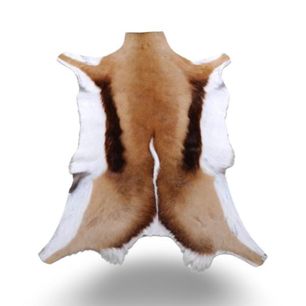 Premium A Grade Springbok Skin