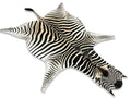 A Grade Zebra Hide