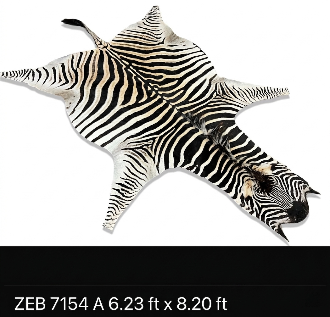A Grade Zebra Hide 7154