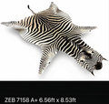 A+ Grade Zebra Hide 7158