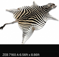 A Grade Zebra Hide 7160