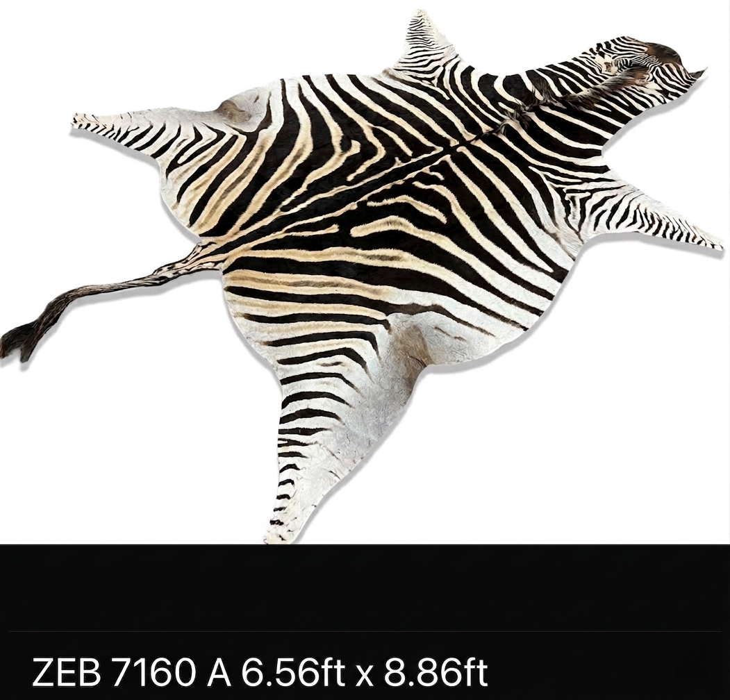 A Grade Zebra Hide 7160