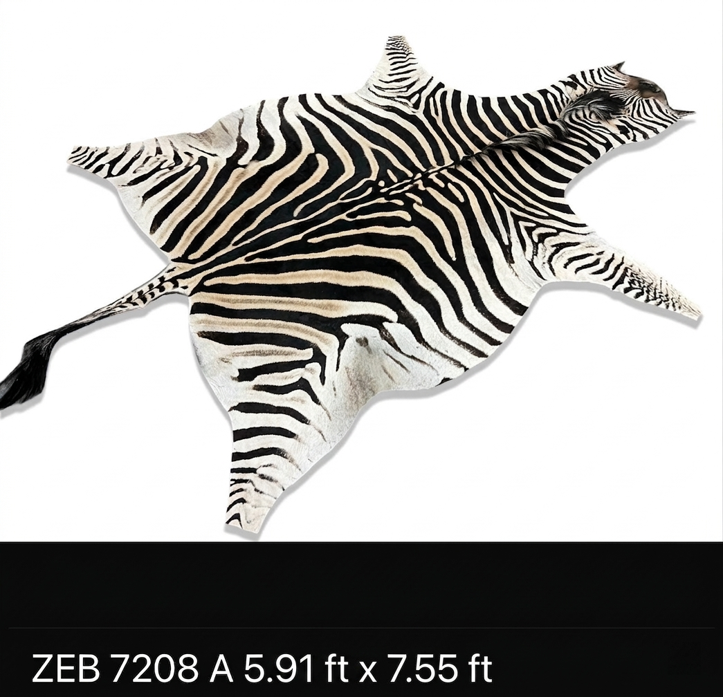 A Grade Zebra Hide 7208