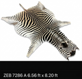 A Grade Zebra Hide 7286
