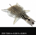 A+ Grade Zebra Hide 7288