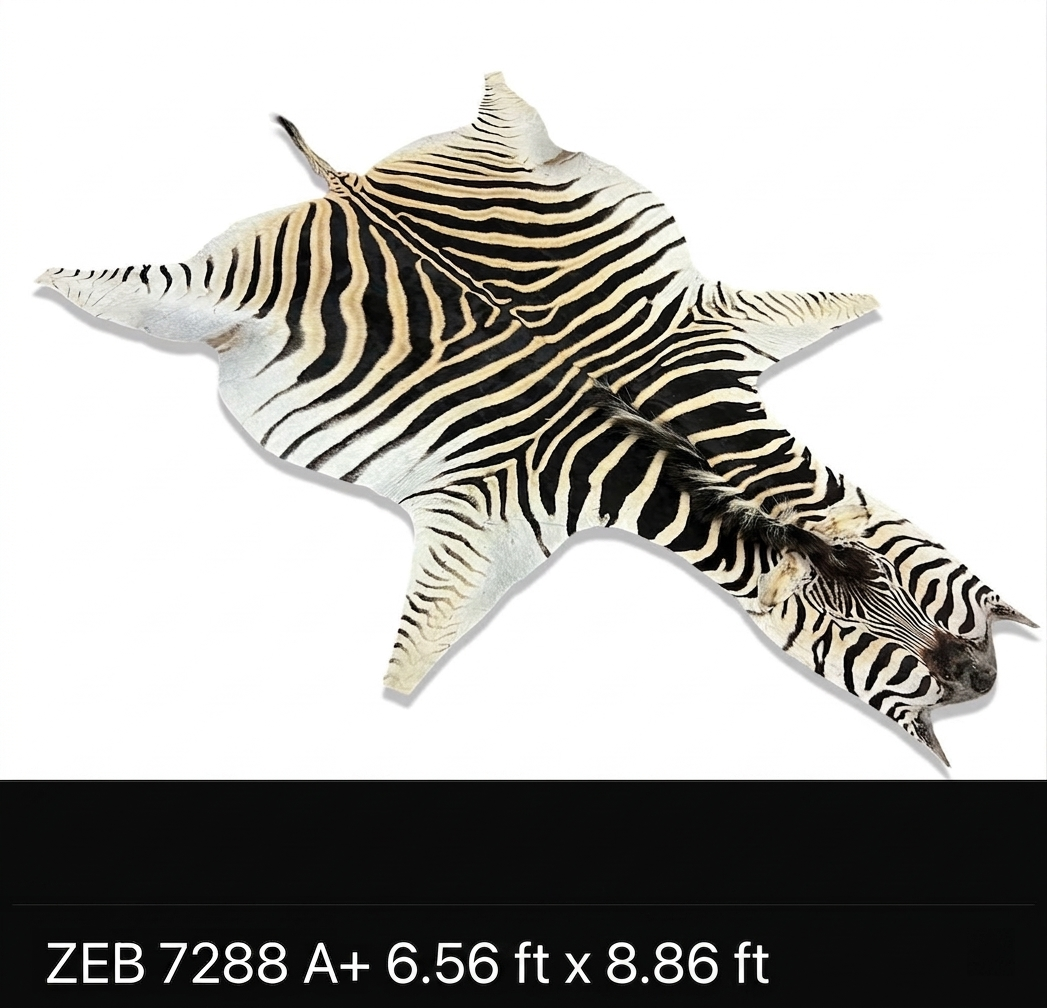 A+ Grade Zebra Hide 7288